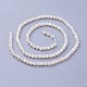 Chapelets de perles de coquillage naturel X-G-F619-27-3mm-2