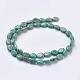 Natural Sinkiang Turquoise Beads Strands TURQ-K003-11E-2