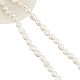 Nbeads perle barocche naturali perle keshi fili di perle PEAR-NB0001-49-1