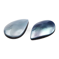 Natürliche Turbo Cornulus/Top Shell Cabochons&nbsp;SSHEL-N003-157A
