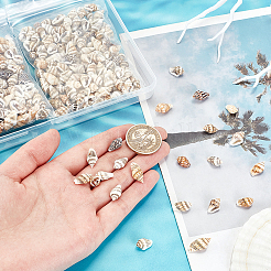 330 Stück 2 Stile natürliche Muschelperlen&nbsp;BSHE-PH0001-39