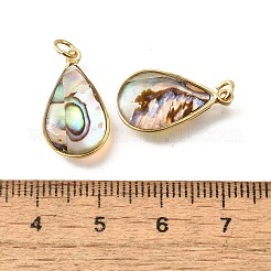 Colgantes de concha de paua natural y resina epoxi&nbsp;KK-E794-02G-02