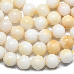 Chapelets de perles en jade de malaisie naturelle&nbsp;G-L645-A01-10mm-28