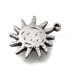 Pendentifs en acier inoxydable 304&nbsp;STAS-H477-05P