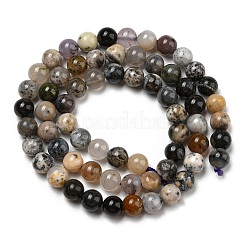 Fili di perline di diaspro naturale dendritico&nbsp;G-R494-A23-02