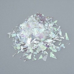 Plastik Bonbon Pailletten / Paillette Chip&nbsp;X-DIY-I019-02N