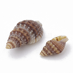 Perle di conchiglia&nbsp;LS-X-SSHEL-S258-03