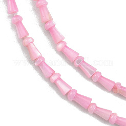 Naturali di acqua dolce perline shell fili&nbsp;SHEL-G013-02