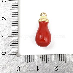 Legierung Emaille Anhänger / charms&nbsp;PALLOY-R158-05G-05