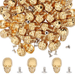 50 rivet en alliage en forme de crâne&nbsp;FIND-CA0011-72B-G