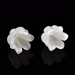 Cappucci di perline di conchiglia bianca naturale&nbsp;SSHEL-N032-58B