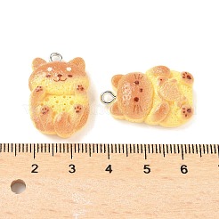 Pendentifs en résine mignons&nbsp;RESI-V005-005