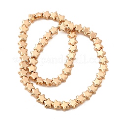 Chapelets de perles en verre électroplaqué&nbsp;EGLA-V001-07