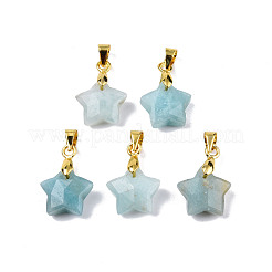 Natürliche Amazonit-Anhänger / charms&nbsp;G-N326-142-08
