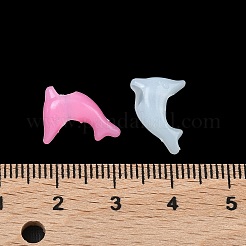 Europäische Plastikperlen&nbsp;KY-F023-14