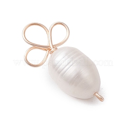 Muschelperle&nbsp;X1-PALLOY-TA00182