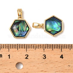 Natürliche Paua-Muschel-Sechseck-Anhänger&nbsp;KK-G538-30G