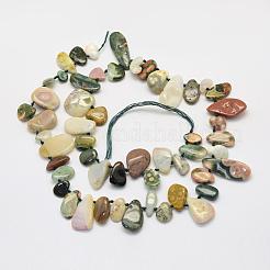 Fili di perle di agata / diaspro oceaniche naturali&nbsp;G-L464-13