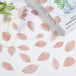 100 pièce de fournitures d'artisanat en feuilles de fleurs séchées&nbsp;AJEW-CP0009-41C