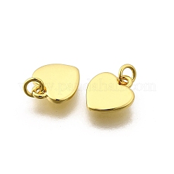 Breloques en laiton&nbsp;KK-I275-16G-02