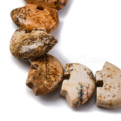 Natürliches Bild Jaspis Perlen Stränge&nbsp;G-F783-G03-01
