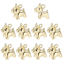 10 Stück Messing Charms&nbsp;KK-BBC0024-48