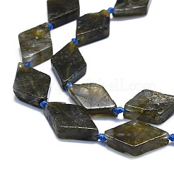 Perline labradorite naturale fili&nbsp;G-K245-E07-02