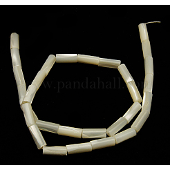 Bianco naturale perline shell fili&nbsp;X-SSHEL-D614C