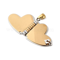 Pendentifs en acier inoxydable 304&nbsp;STAS-K297-03PG