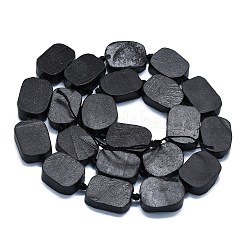 Natürliche Shungit Perlen Stränge&nbsp;G-K245-J22-01