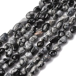 Naturschneeflocke Obsidian Perlen Stränge&nbsp;G-K395-A04-01