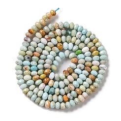 Fili di perline howlite naturale&nbsp;G-H025-03B-06
