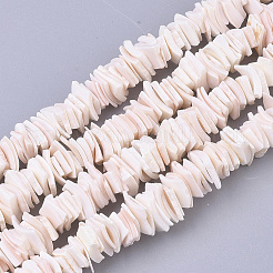 Natürliche rosa Muschelperlenstränge&nbsp;SSHEL-N034-20