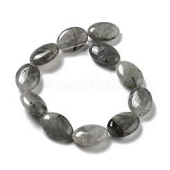 Natur Labradorit Perlen Stränge&nbsp;G-P528-M10-01
