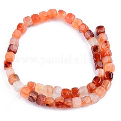 Chapelets de perles en cornaline naturelle&nbsp;G-S359-134B