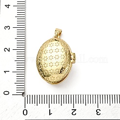 Messing micro pave Zirkonia Medaillon Anhänger&nbsp;X-KK-F912-02G