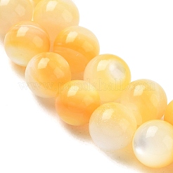 Jaune naturel coquille brins de perles&nbsp;SH-CBACA76-16A