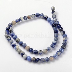 Chapelet de perles en sodalite naturelle&nbsp;X-GSR8mmC013