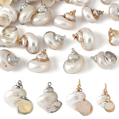 Colgantes de concha en espiral galvanizada&nbsp;BSHE-YW0001-07P