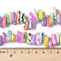 1 brin de perles de coquillage de troca naturelles teintes&nbsp;SSHEL-PA0001-01A