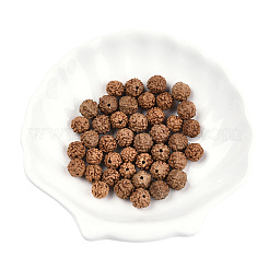 Ungefärbte natürliche Rudraksha-Perlen&nbsp;WOOD-T030-01