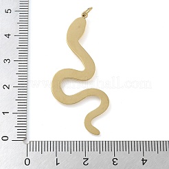Placcatura ionica (ip) ciondoli in acciaio inossidabile 304&nbsp;STAS-B075-19G-02