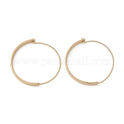Creolen aus 304er Edelstahl für Damen&nbsp;X-EJEW-Q781-04G