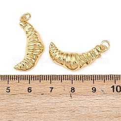 Messing Anhänger & Charms&nbsp;KK-L255-13G