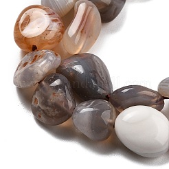 Natur Botswana Achat Perlen Stränge&nbsp;G-P433-20A