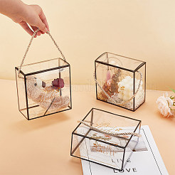Transparente Geschenkboxen für Haustierbonbons&nbsp;CON-WH0084-73B