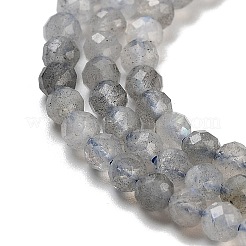 Sfaccettate rotonde fili di perline labradorite naturale&nbsp;G-I156-03-3mm