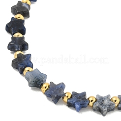 Collane in sodalite naturali&nbsp;NJEW-P311-04B-G