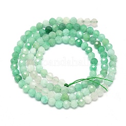 Brins de perles d'émeraude naturelles&nbsp;G-G106-C09-02