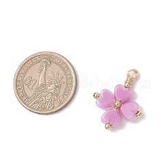 Acrylique avec pendentifs en laiton&nbsp;PALLOY-JF04136-01
